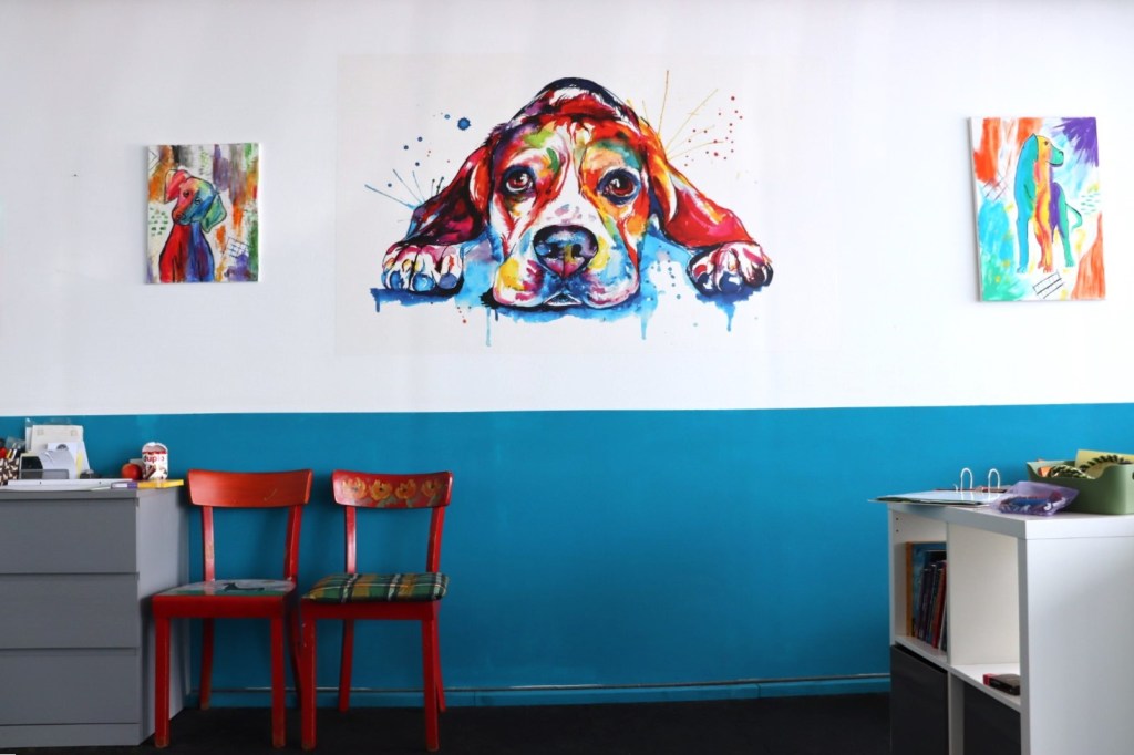 hundezentrum hacheney dortmund kursraum hundeschule